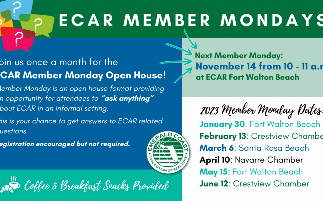 Introducing Member Mondays