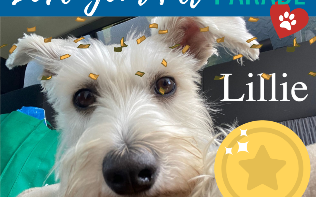 Announcing the RPAC Love Your Pet Parade Winner!