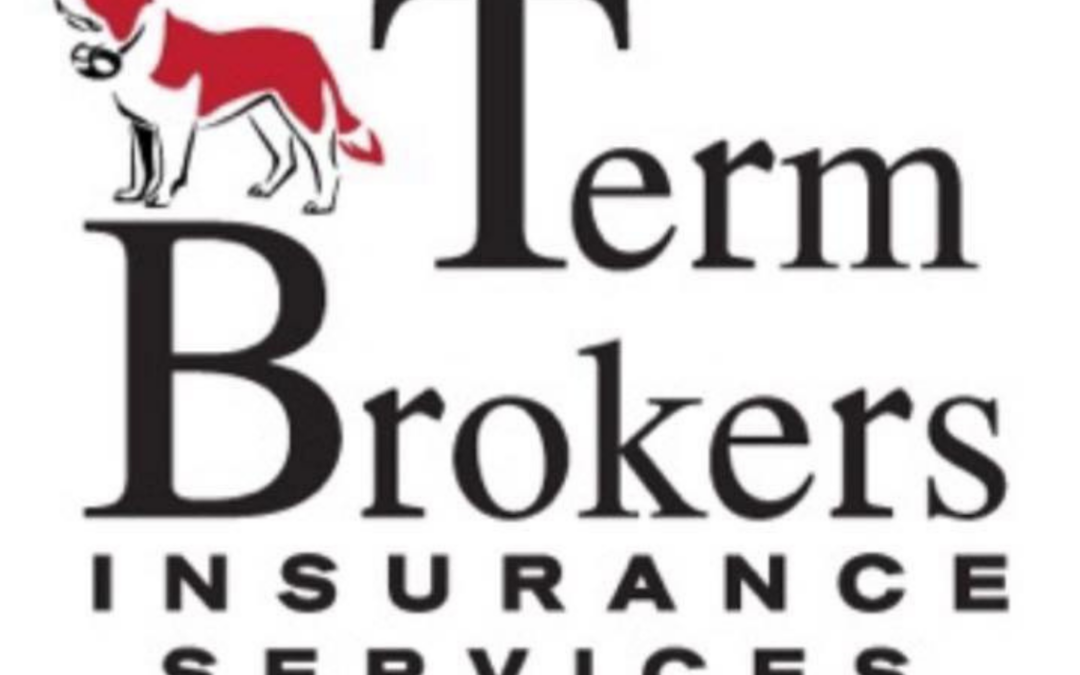 Term Brokers Insurance