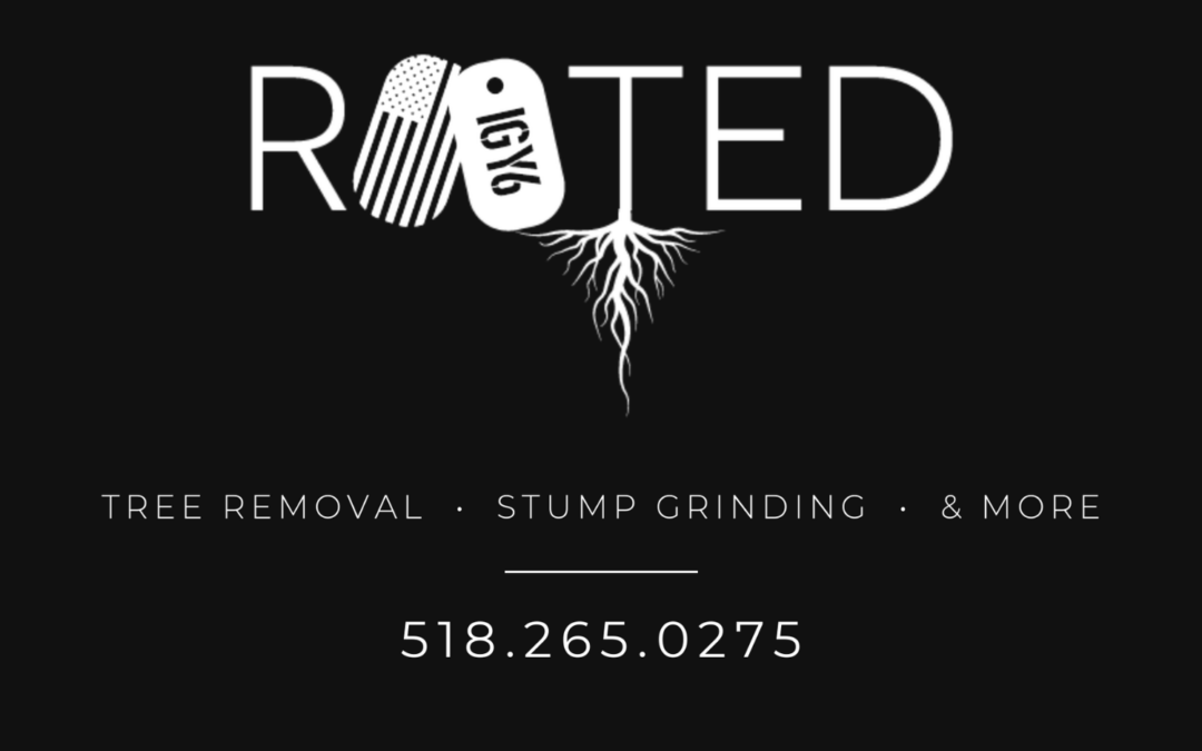 IGY6 Rooted